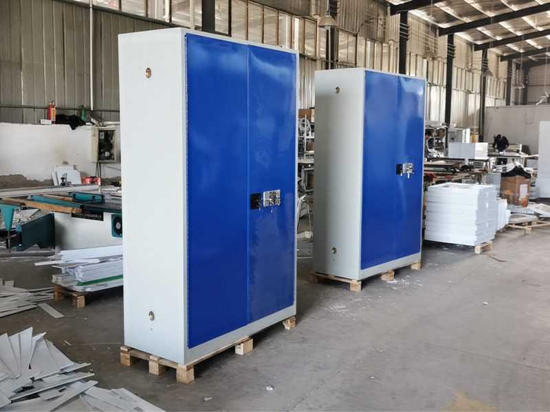 国药控股德阳有限公司定制毒麻品储存柜